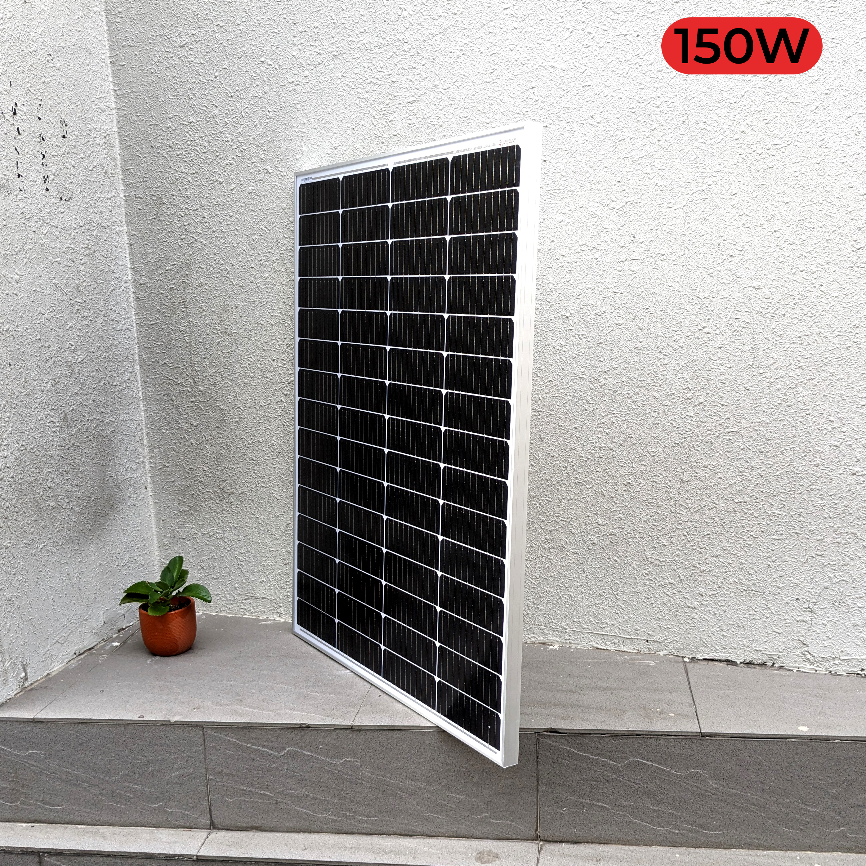 Tấm pin năng lượng mặt trời 150W 3